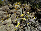 photo thumbnail #14