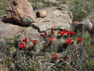 photo thumbnail #5
