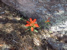 photo thumbnail #9