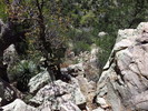 photo thumbnail #4