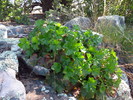 photo thumbnail #14