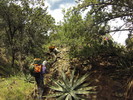 photo thumbnail #13