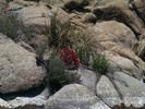 photo thumbnail #2