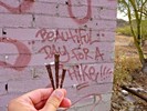 photo thumbnail #4