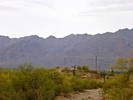 photo thumbnail #7