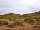photo thumbnail #14