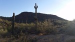 photo thumbnail #11