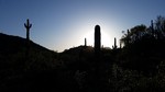 photo thumbnail #15