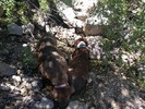 photo thumbnail #4