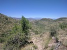 photo thumbnail #5