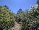 photo thumbnail #6