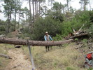 photo thumbnail #2