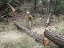 photo thumbnail #3