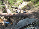 photo thumbnail #7