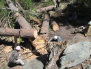 photo thumbnail #8