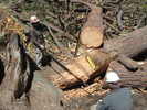 photo thumbnail #9