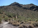 photo thumbnail #6