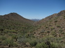 photo thumbnail #7