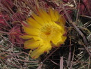 photo thumbnail #8