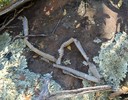photo thumbnail #6