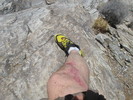 photo thumbnail #5