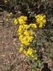 photo thumbnail #15