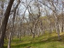 photo thumbnail #8