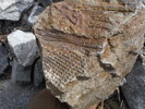 photo thumbnail #1