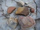 photo thumbnail #12