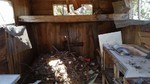 photo thumbnail #5