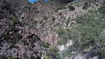 photo thumbnail #15