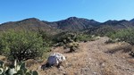 photo thumbnail #3