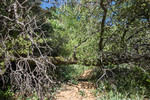 photo thumbnail #7