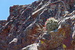 photo thumbnail #13
