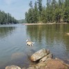 photo thumbnail #2