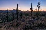 photo thumbnail #2