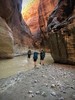 photo thumbnail #11