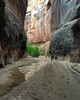 photo thumbnail #12