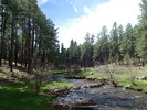 photo thumbnail #1