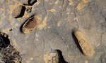 photo thumbnail #3