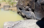 photo thumbnail #7