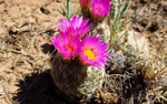 photo thumbnail #15