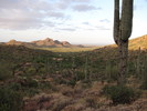 photo thumbnail #1