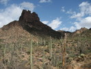 photo thumbnail #13
