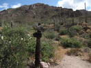 photo thumbnail #14