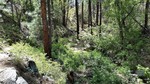photo thumbnail #14