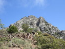 photo thumbnail #13