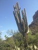 photo thumbnail #2