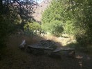 photo thumbnail #6