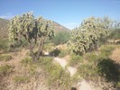 photo thumbnail #10